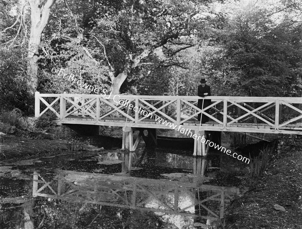 BRIDGE AT LAKE WITH PRIEST